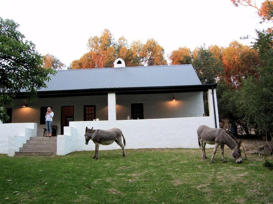 The Little Farmhouse Stanford Εξωτερικό φωτογραφία